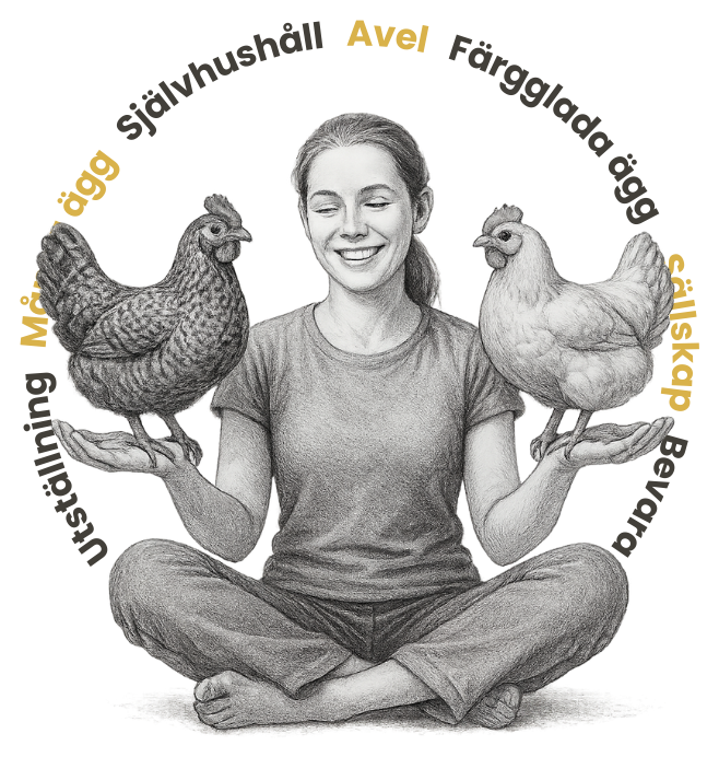 Kvinna sitter ner med höns i händerna och ord som ägg, avel, sällskap, självhushållning